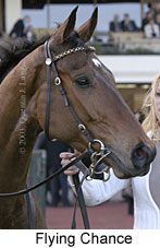 Flying Chance (12238 bytes)