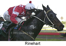 Rinehart (11890 bytes)