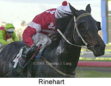 Rinehart (13565 bytes)