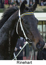 Rinehart (11866 bytes)