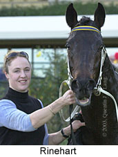 Rinehart (13114 bytes)