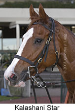 Kalashani Star (11890 bytes)