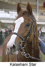 Kalashani Star (11890 bytes)