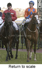 Return to scale (13257 bytes)