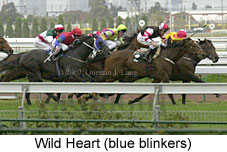 r1wildheart.jpg (15870 bytes)