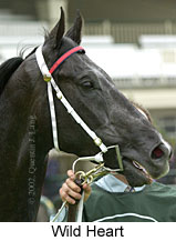 r1wildheart2.jpg (10994 bytes)