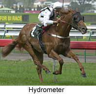 r2hydrometer2.jpg (14383 bytes)