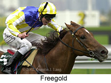 r3freegold.jpg (14249 bytes)