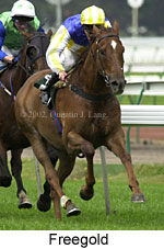 r3freegold2.jpg (13590 bytes)