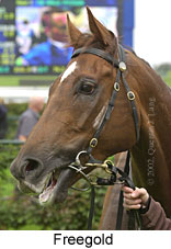 r3freegold3.jpg (12999 bytes)