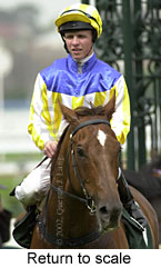 r3rtosc.jpg (13800 bytes)