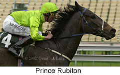 r4princerubiton.jpg (13812 bytes)