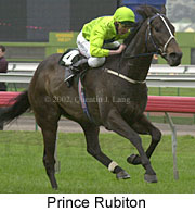 r4princerubiton2.jpg (12817 bytes)