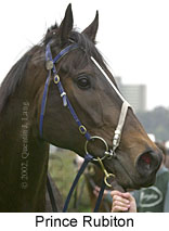 r4princerubiton3.jpg (9698 bytes)