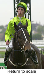 r4rtosc.jpg (12132 bytes)