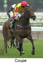 r5coupe.jpg (11885 bytes)