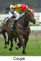 r5coupe2.jpg (11963 bytes)