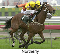 r6northerly.jpg (13965 bytes)