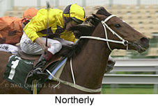 r6northerly2.jpg (12724 bytes)