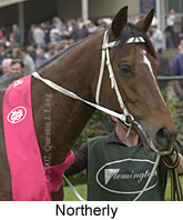 r6northerly3.jpg (12315 bytes)