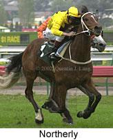 r6northerly4.jpg (13142 bytes)