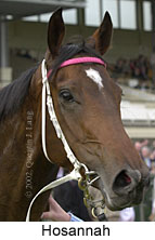 r7hosannah3.jpg (10832 bytes)