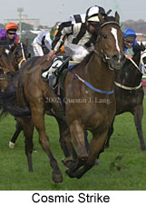 r8cosmicstrike2.jpg (13631 bytes)