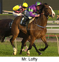 r9mrlofty.jpg (16182 bytes)
