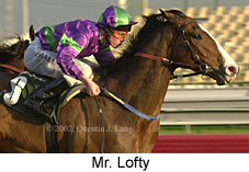 r9mrlofty2.jpg (14546 bytes)