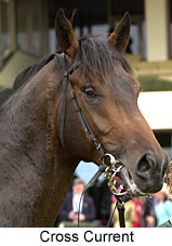 r1crosscurrent.jpg (12315 bytes)