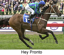 r2heypronto.jpg (18003 bytes)