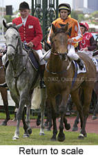 r3rtosc2.jpg (14957 bytes)