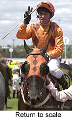 r5rtosc.jpg (16029 bytes)