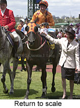 r5rtosc2.jpg (16360 bytes)