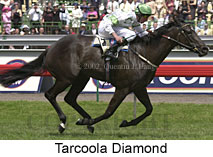 r6tarcooladiamond.jpg (15902 bytes)