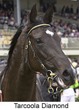 r6tarcooladiamond3.jpg (12592 bytes)