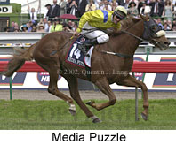 r7mediapuzzle.jpg (14272 bytes)