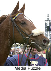 r7mediapuzzle2.jpg (13148 bytes)