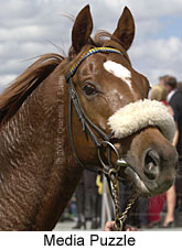r7mediapuzzle3.jpg (13747 bytes)