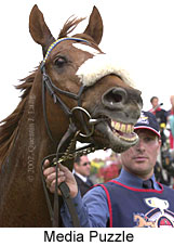 r7mediapuzzle5.jpg (13801 bytes)