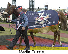 r7mediapuzzle7.jpg (18428 bytes)