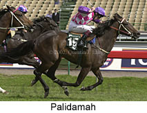 r8palidamah.jpg (15298 bytes)