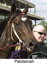 r8palidamah2.jpg (13052 bytes)
