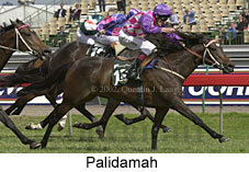 r8palidamah3.jpg (17238 bytes)