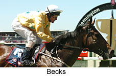 Becks (18507 bytes)