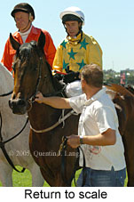 Return to scale (17769 bytes)