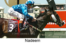 Nadeem (18507 bytes)