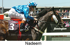 Nadeem (18507 bytes)