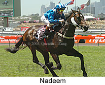 Nadeem (18507 bytes)