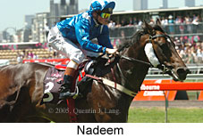 Nadeem (18507 bytes)